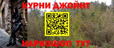 дмт Гай